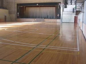 スポーツ合宿のニチレク ザ合宿 スポーツ合宿 文科系合宿 音楽合宿 ゼミ合宿 合宿施設 合宿所 グラウンド 体育館 テニスコート 武道場 音楽ホール ダンスホール 会議室 など の手配のほか貸切バスや交流合宿などをご案内いたします