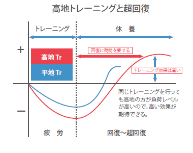 高地トレーニングと超回復