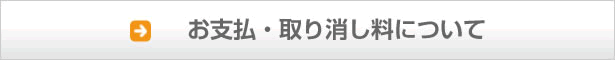 お支払・取り消し料について